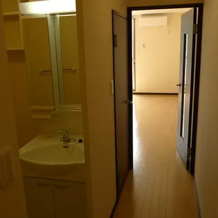 レオネクストラーラⅡ【208号室】のその他画像