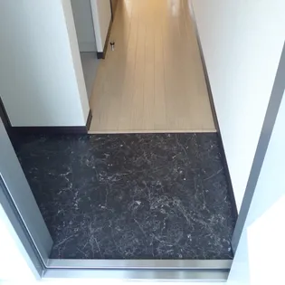 レオネクストラーラⅡ【208号室】の玄関