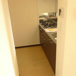 レオネクストラーラⅡ【201号室】の内装