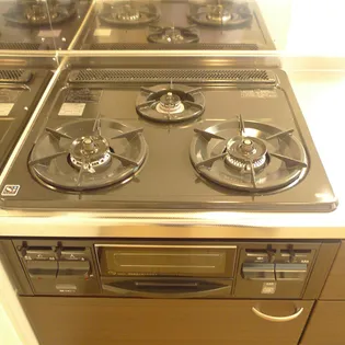 レオネクストラーラⅡ【201号室】の内装