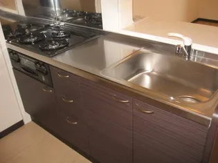 レオネクストパストラーレ横田【203号室】のキッチン