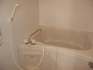 レオネクストパストラーレ横田【203号室】の風呂