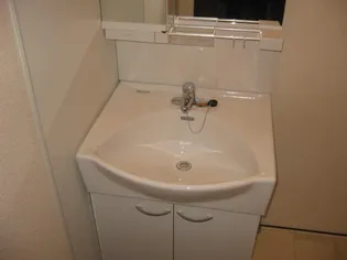 レオネクストパストラーレ横田【203号室】のその他画像