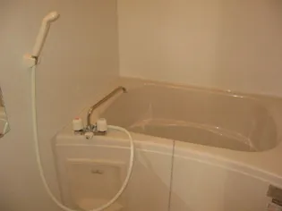 レオネクストパストラーレ横田【2階】の風呂