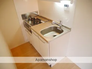 イル・ティモーネ【201号室】のキッチン