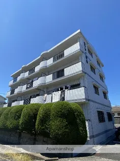 ロフティ冨永の画像