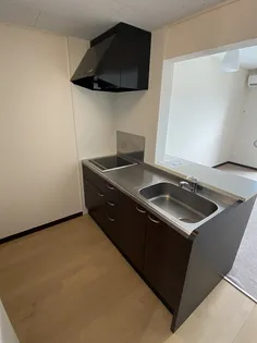 レオネクスト藤【1階】のキッチン