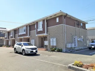 プリムラの画像