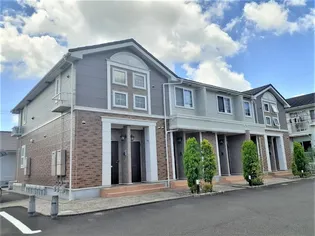 クレマチスIIの画像