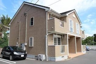 アウローラサキBの画像