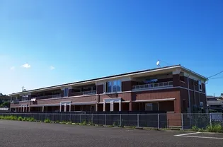 トゥルーの画像