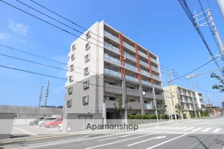 メゾンドールの画像