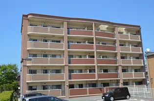 ウイング ロードの画像