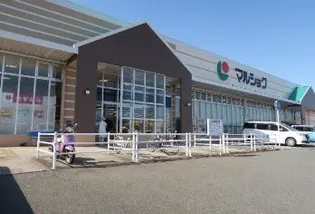 ハーモニーハイツM【202号室】の周辺