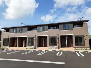 ラナンキュラス Ⅱの画像