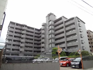 パディフィールドMの画像