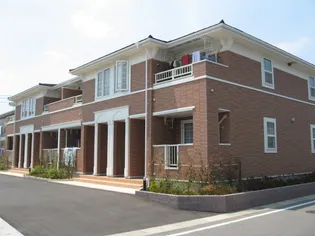 クレマチスAの画像