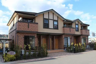 パインブライトBの画像