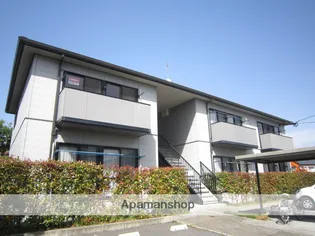 モーニングサンの画像