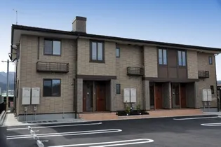 ジョリ レーヌの画像