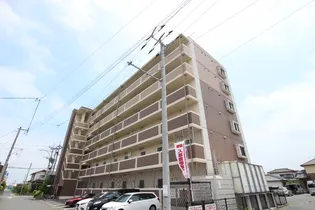 エルモソ ピソの画像