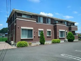 プリムローズBの画像