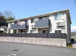 プリムローズAの画像