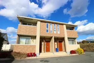 グレイシャス髙尾Bの画像