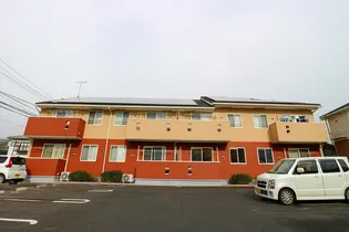 マグノリアの画像