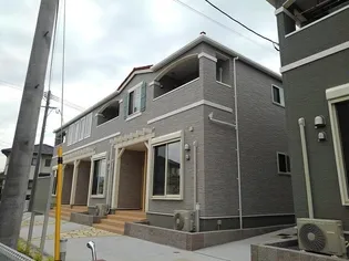 サン フラワー Ⅱの画像