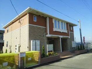 ビクトリアⅡ Dの画像