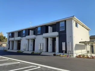 エヴァーレオIIの画像