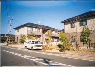 ブルーベリーの画像