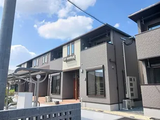 ビクトリア モーニング Bの画像