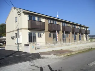 カタルパトモダの画像