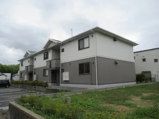 パルマ ローザの画像