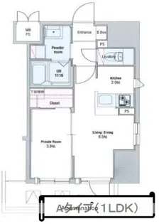 ネストピア西新Ⅱ【1101号室】の間取り