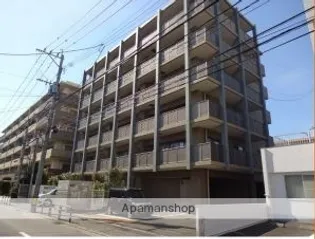 セレッソHARAの画像