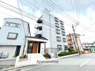 SOコスモスの画像