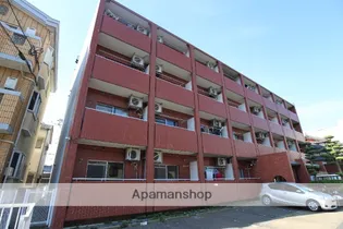 次郎丸ヴィレッタの画像