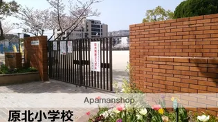コーポ花【202号室】の周辺