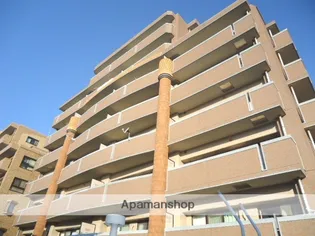 ヴェランティーヌ石丸の画像