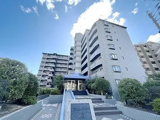 パディフィールドMの画像