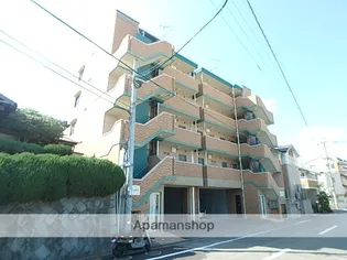 クウィーンズ昭代の画像