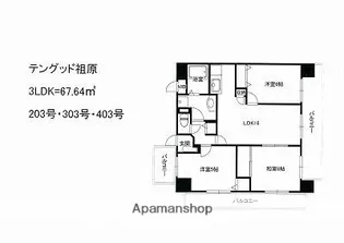 テングッド祖原【203号室】の間取り