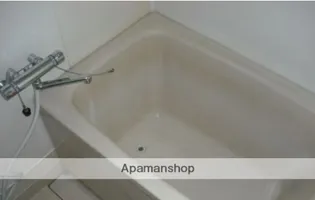 ホワイトエクセル南庄【301号室】の風呂