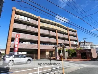 シャルドーネ石丸の画像