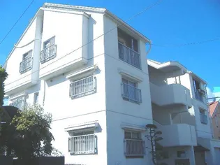 コータス原の画像