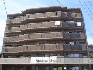 パロリブルの画像