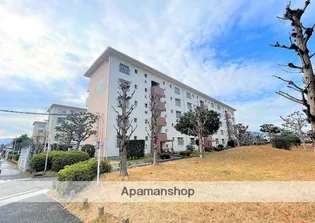 星の原団地71号棟の画像